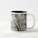 Recherche de maurice tasses Arbre