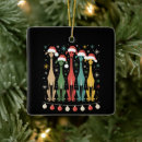 Recherche de siècle ornements Père noël