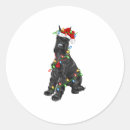 Search for giant schnauzer stickers Pug