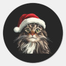 Search for maine coon stickers Kitty