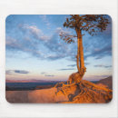Search for bryce canyon mousepads Landscape