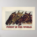 Search for vintage equestrian horse posters Stallion