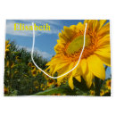 Search for plant gift bags Floral