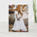 Search for all hallows eve halloween cards Funny