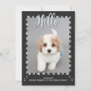 Recherche de adoption de chien invitations Bonjour