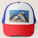 Search for puffin hats Cute