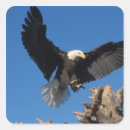 Search for land animal stickers Predator
