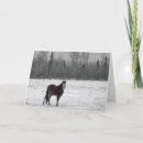 Search for equine holiday cards Filly