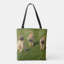 Recherche de shar pei accessoires Mignon