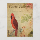 Search for french floral postcards Bird