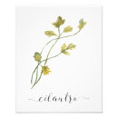Search for kitchen herb art Botanical