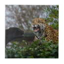 Recherche de jaguar carreaux Panthère noir
