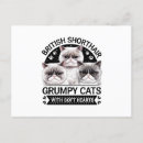 Recherche de chat grincheux cartes postales Chaton