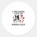 Recherche de collie dog stickers Animal