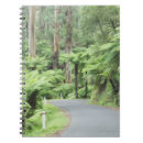 Search for environment notebooks Tree
