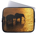 Search for botswana electronics Okavango delta