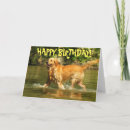 Search for golden birthday cards Photograph