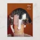 Recherche de chat triste cartes postales Humour