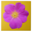 Search for wild rose tiles Blossom