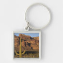 Search for pipe organs keychains Arid