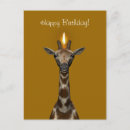 Search for witty birthday cards Silly