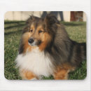 Search for dog mousepads Photography