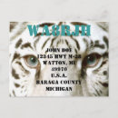 Search for intensive postcards Wildlife