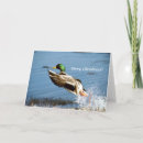 Search for mallard duck christmas cards Bird