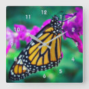 Recherche de monarques horloges Papillon