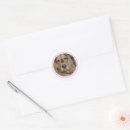 Search for english stickers Pet