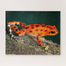 Search for darts puzzles Animal
