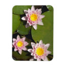 Recherche de groupe de personnes magnets Dehors