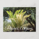 Search for backlit postcards Landscape