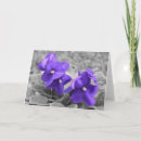 Search for violet colour cards Nature