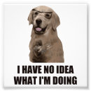 Search for cute science posters Chemistry