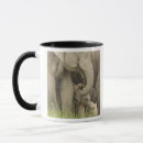 Search for indian elephant mugs Grassland