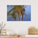 Recherche de estival posters Tropical