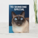 Search for funny daughter birthday cards Cat
