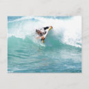 Search for riding a wave postcards Waves