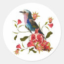 Search for pomegranate stickers Floral