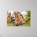 Search for muzzle art Animal