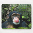 Search for chimpanzees mousepads Primates