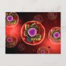 Recherche de cellule animale posters Horizontal