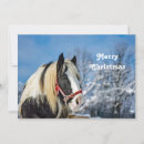 Search for paint horse christmas cards Snow