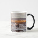 Search for nwr mugs Alaska