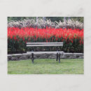 Search for benches postcards Red