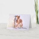 Search for chihuahua birthday cards Pet