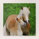 Recherche de horse puzzles Mignon