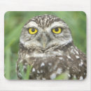 Search for burrowing mousepads Cape coral