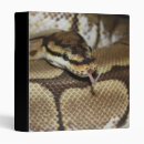 Search for python office supplies Serpent